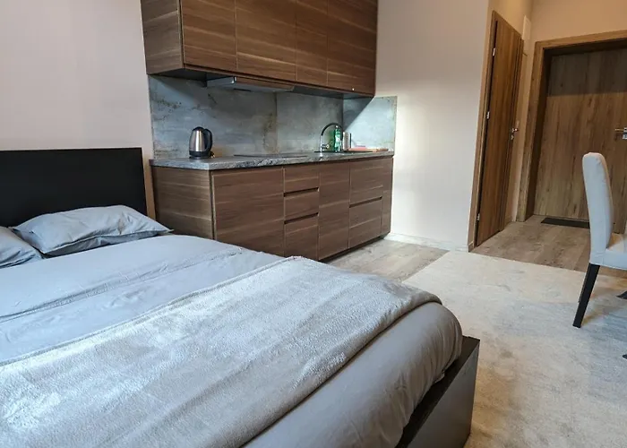 A1 In Downtown Of * Krakow